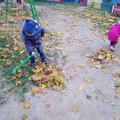Трудовые поручения " Уборка участка от листьев"