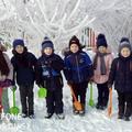 Прогулка Наблюдение за изменениями на участке детского сада