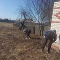 Наведение порядка на территории в н.п. Небытов