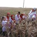 Из чего печётся хлеб, что едим мы на обед?
