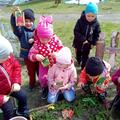 "Организация работы с детьми в огороде»