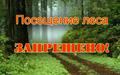 Введен запрет на посещение лесов. Введен запрет на посещение лесов.