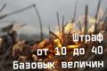 Весенние палы Весенние палы