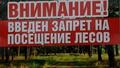 Введен запрет на посещение лесов Введен запрет на посещение лесов