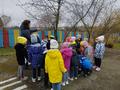 Прогулка "Наблюдение за сезонными изменениями на участке" Прогулка "Наблюдение за сезонными изменениями на участке"