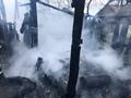 На пожаре в деревне Дворище травмировался ребенок На пожаре в деревне Дворище травмировался ребенок