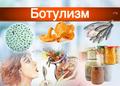 Профилактика ботулизма в холодный период года Профилактика ботулизма в холодный период года