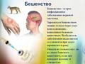 Бешенство. Это должен знать каждый! Бешенство. Это должен знать каждый!